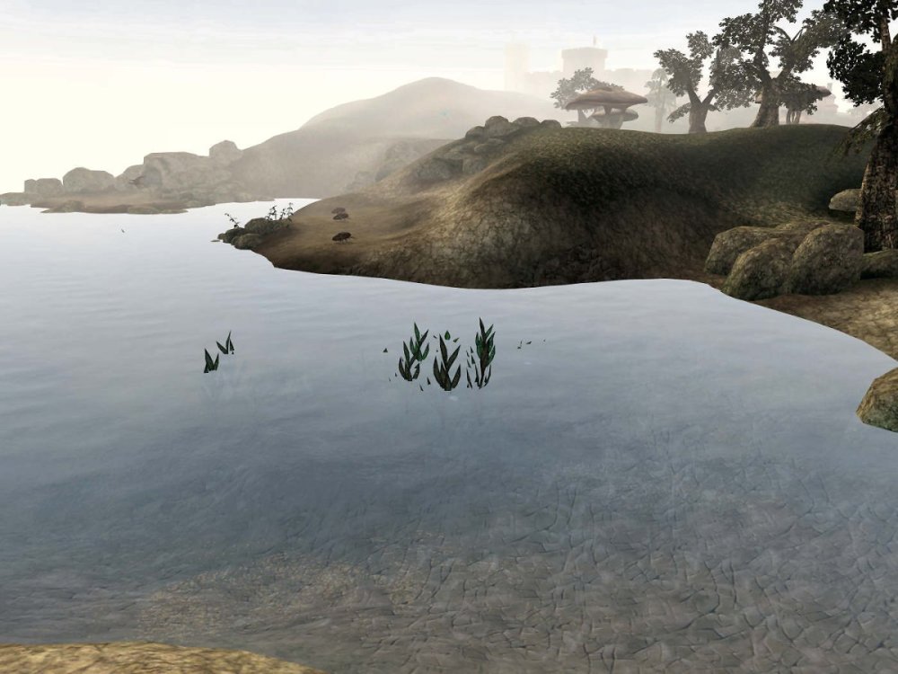 pre_1427536863__mw-place-lake_amaya.jpg