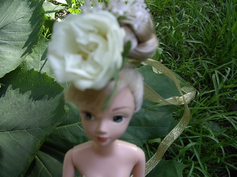 IMGP1387.JPG